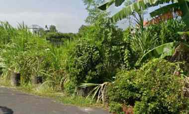 dijual tanah sedap malam