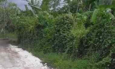 dijual tanah sedap malam