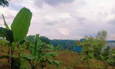 dijual tanah sekaran gunungpati semarang