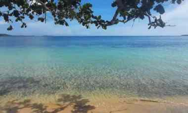 dijual tanah sekotong barat lombok ntb