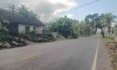 dijual tanah selabih tabanan bali