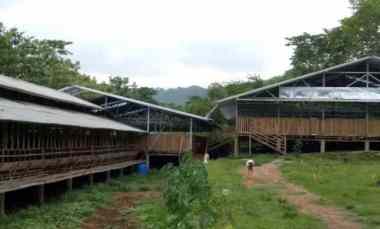 dijual tanah selawangi tanjungsari bogor