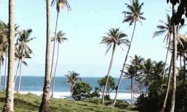 dijual tanah selemadeg