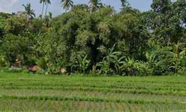 dijual tanah selemadeg barat tabanan bali