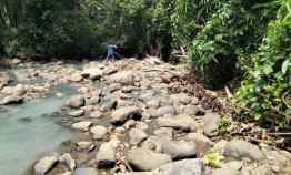 dijual tanah selemadeg tabanan bali