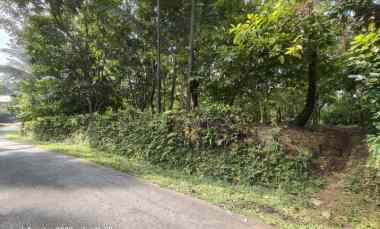 dijual tanah selemadeg tabanan bali