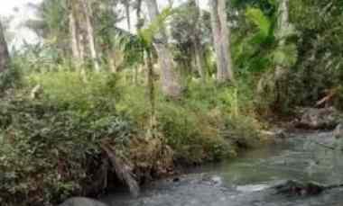 dijual tanah selemadeg tabanan bali