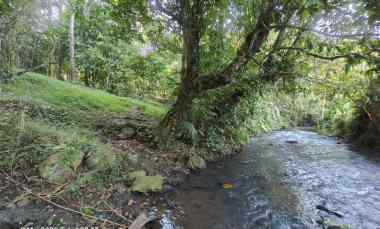 dijual tanah selemadeg tabanan bali