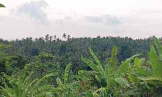 Tanah View Jungle dekat ke Pantai Kelecung Bali