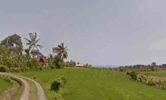Tanah Sawah di Selemadeg Timur Tabanan Bali