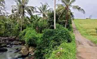 Tanah View Sungai dan Sawah dekat Villa Galalima Glamping Bali
