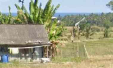 dijual tanah selemadeg timur tabanan bali