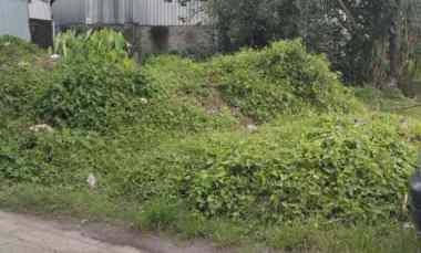 dijual tanah selingsing