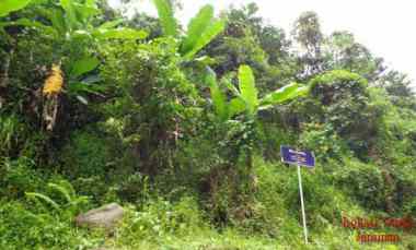 dijual tanah seluas 137 876 m2 seharga 5 82m lampung