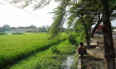dijual tanah seluas 14 010 m2 seharga rp 4 7m pasuruan