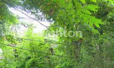 dijual tanah semolowaru