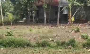 dijual tanah sendangrejo minggir sleman