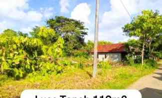 Tanah Murah di Sentolo Jogjakarta, LT 110, SHM, Bisa untuk Hunian