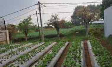 Jual Cepat Kavling Bagus di Komplek Setiabudi Regency Bandung Utara