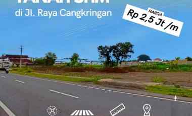 dijual tanah shm mangku jalan cangkringan purwomartani