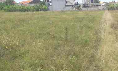 dijual tanah sidakarya