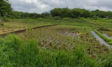 dijual tanah sindangsari leuwigoong