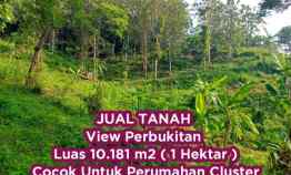 Jual Tanah Bukit 1 Hektar di Pudak Payung Semarang Jawa Tengah