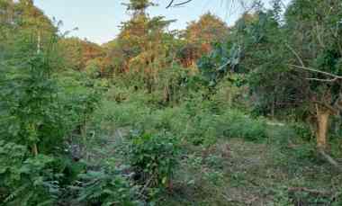 dijual tanah soan galuh beach