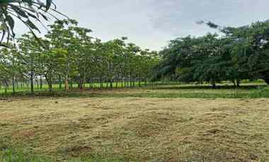 dijual tanah soekarno hatta