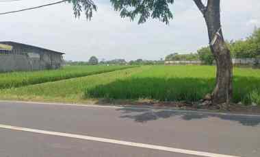 dijual tanah soreang