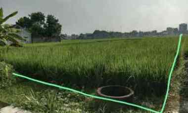 dijual tanah srimartani piyungan