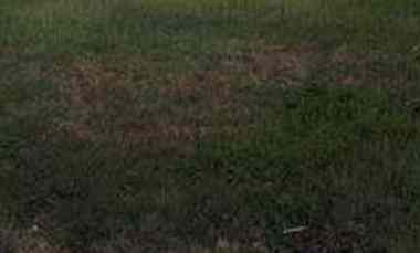 dijual tanah stamford