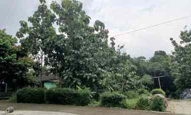 dijual tanah strategis 1000m karangpandan