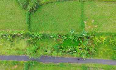 dijual tanah strategis 3 46 are tedung gianyar