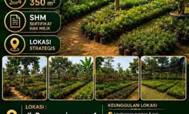 dijual tanah strategis ciapus bogor