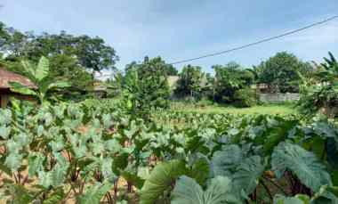 dijual tanah strategis dekat pintu tol sentul selatan