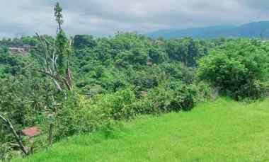 Dijual Tanah Strategis di Sentral Lovina