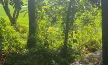 dijual tanah strategis pinggir jalan