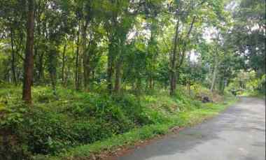 Tanah Dijual di Sarwadadi talun