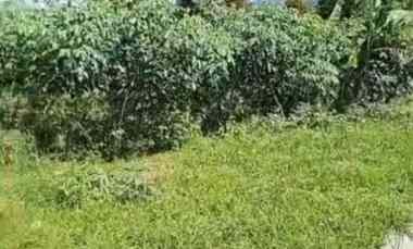 dijual tanah strategis pinggir jalan baru cisantana