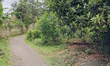 dijual tanah strategis pinggir jalan desa