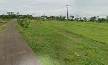 dijual tanah strategis pinggir jalan desa