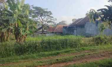 dijual tanah strategis pinggir jalan desa