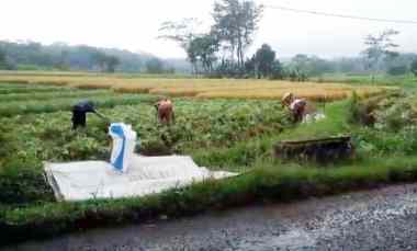 dijual tanah strategis pinggir jalan kabupaten