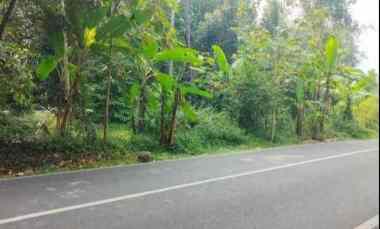 Dijual Tanah Strategis Pinggir Jalan Raya