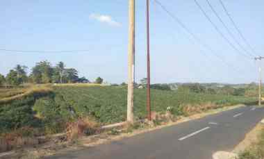dijual tanah strategis pinggir jalan view gunung