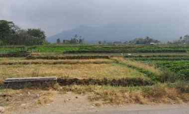 Dijual Tanah Strategis Pinggir Jalan View Gunung