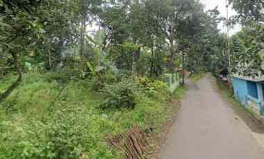 dijual tanah strategis pinggir jl desa