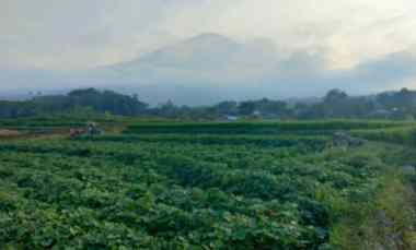 dijual tanah strategis view gunung di kuningan