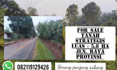 dijual tanah subang